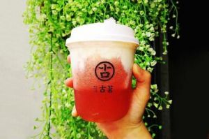 企鹅直播官网