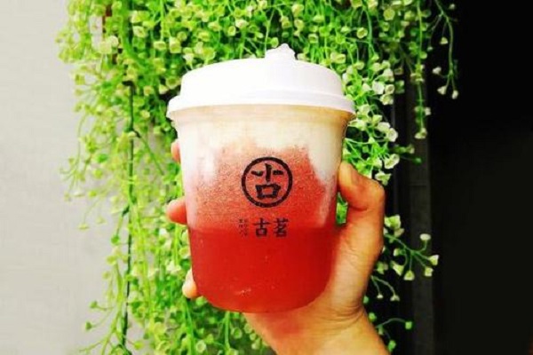 企鹅直播官网